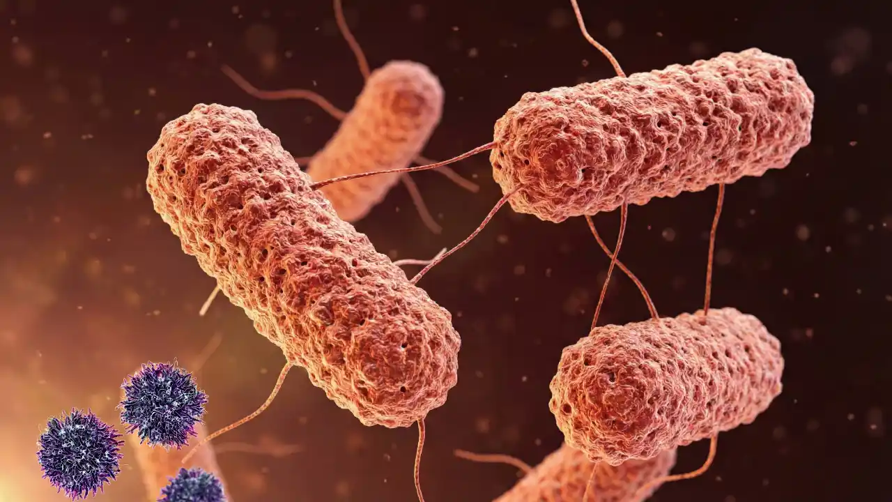 मानसून में सावधान! इन बीमारियों से रहें सतर्क, नहीं तो सेहत पर बढ़ता असर मानसून बीमारियों का खतरा